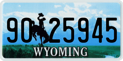 WY license plate 9025945