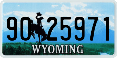WY license plate 9025971