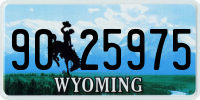 WY license plate 9025975