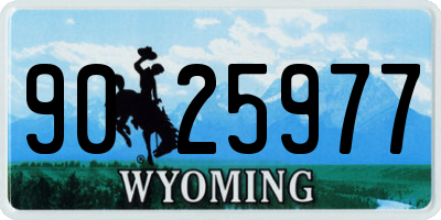 WY license plate 9025977