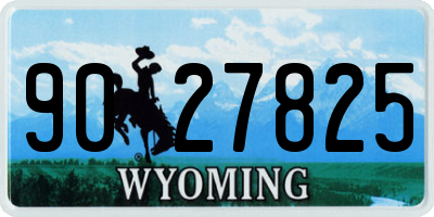 WY license plate 9027825