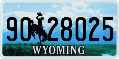 WY license plate 9028025