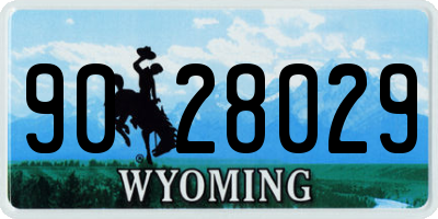 WY license plate 9028029