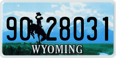 WY license plate 9028031