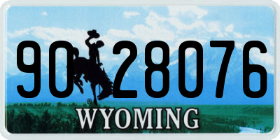 WY license plate 9028076