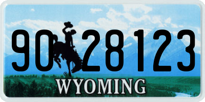 WY license plate 9028123