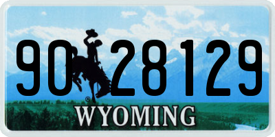 WY license plate 9028129