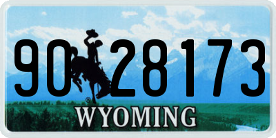 WY license plate 9028173