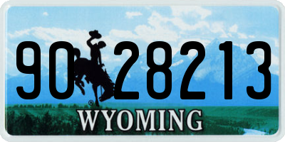 WY license plate 9028213
