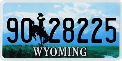 WY license plate 9028225