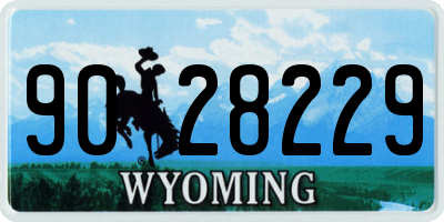 WY license plate 9028229