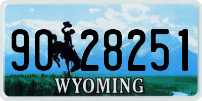 WY license plate 9028251
