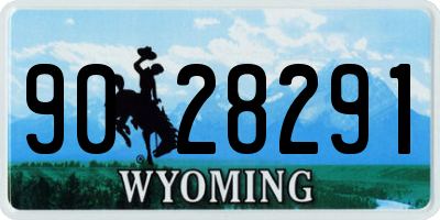 WY license plate 9028291