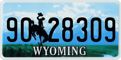 WY license plate 9028309