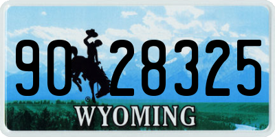 WY license plate 9028325