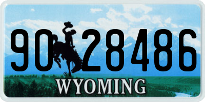 WY license plate 9028486