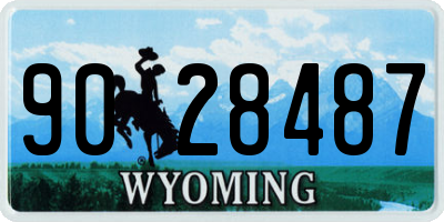 WY license plate 9028487