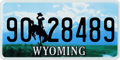 WY license plate 9028489