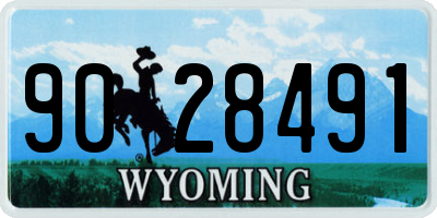 WY license plate 9028491
