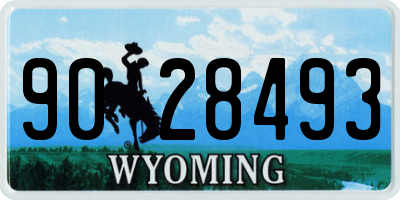 WY license plate 9028493