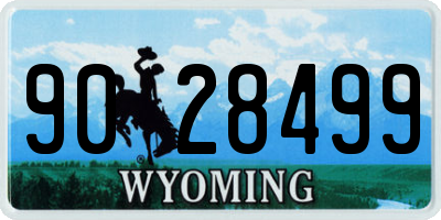 WY license plate 9028499