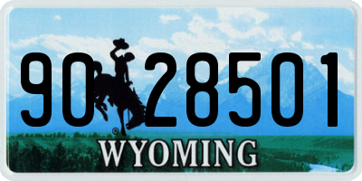 WY license plate 9028501