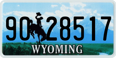 WY license plate 9028517