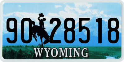 WY license plate 9028518