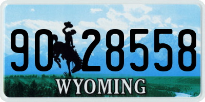 WY license plate 9028558
