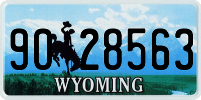 WY license plate 9028563