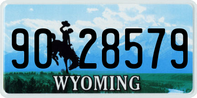 WY license plate 9028579