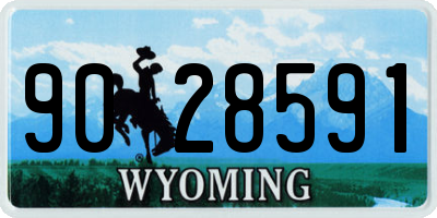 WY license plate 9028591