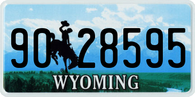 WY license plate 9028595