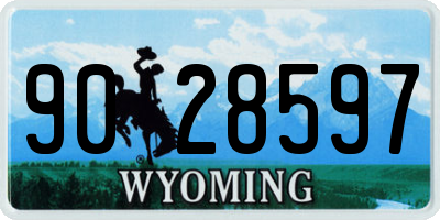 WY license plate 9028597