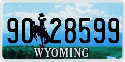 WY license plate 9028599