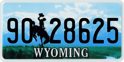 WY license plate 9028625