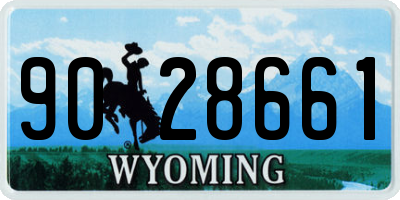 WY license plate 9028661