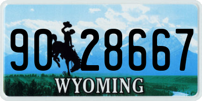 WY license plate 9028667