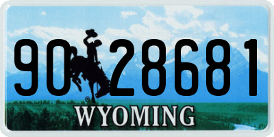 WY license plate 9028681