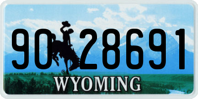 WY license plate 9028691