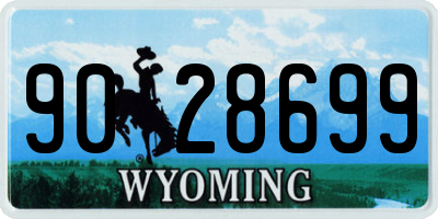 WY license plate 9028699