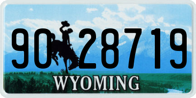WY license plate 9028719