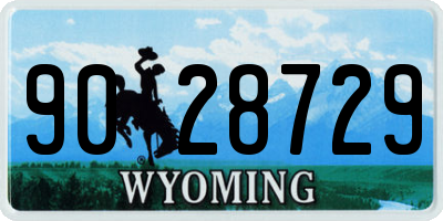 WY license plate 9028729