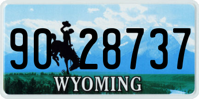 WY license plate 9028737