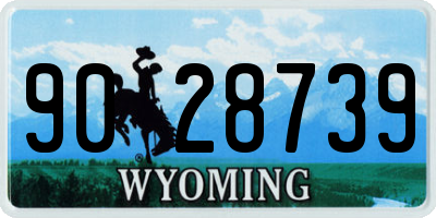 WY license plate 9028739