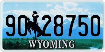 WY license plate 9028750