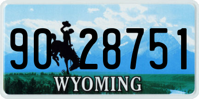 WY license plate 9028751