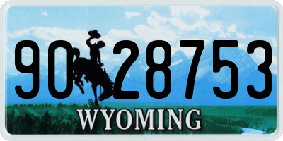 WY license plate 9028753