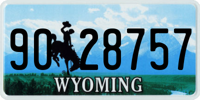WY license plate 9028757