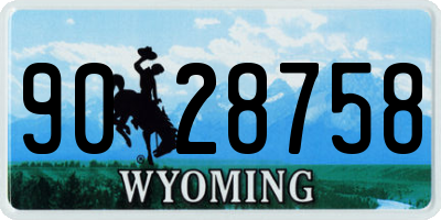 WY license plate 9028758
